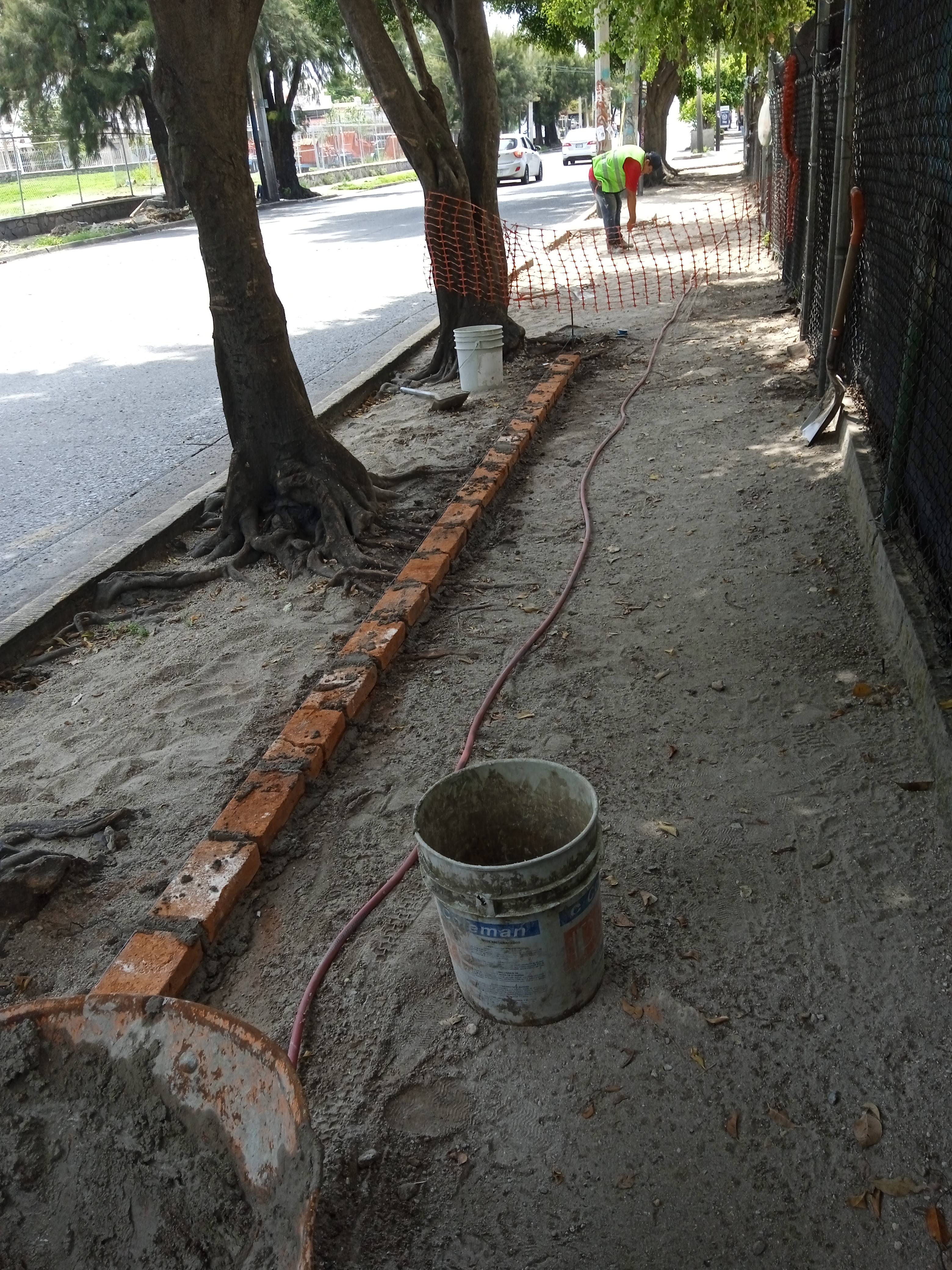 Imagen del proyecto