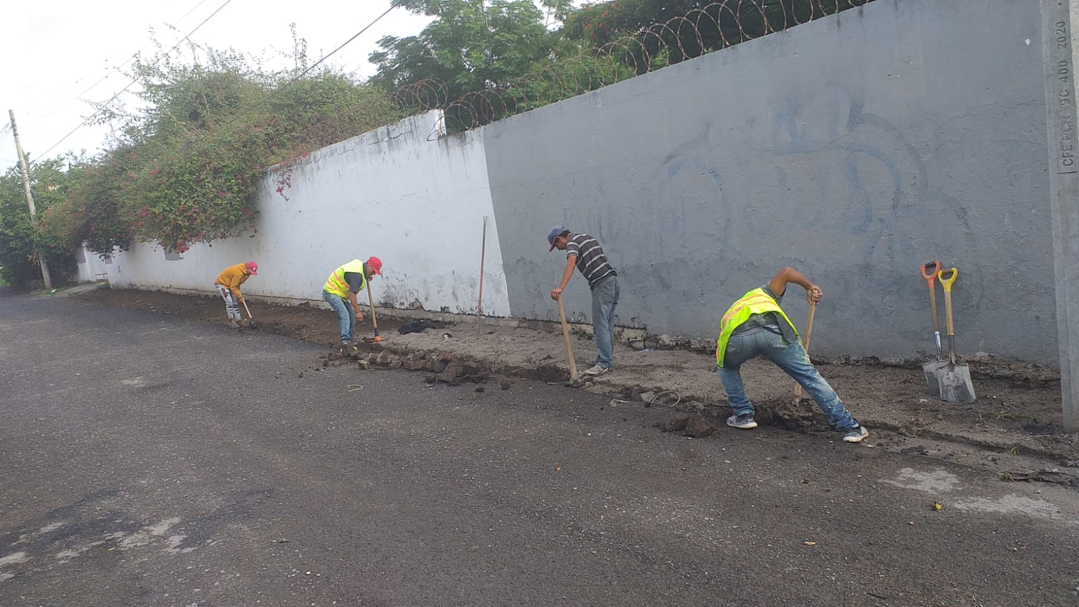 Imagen del proyecto