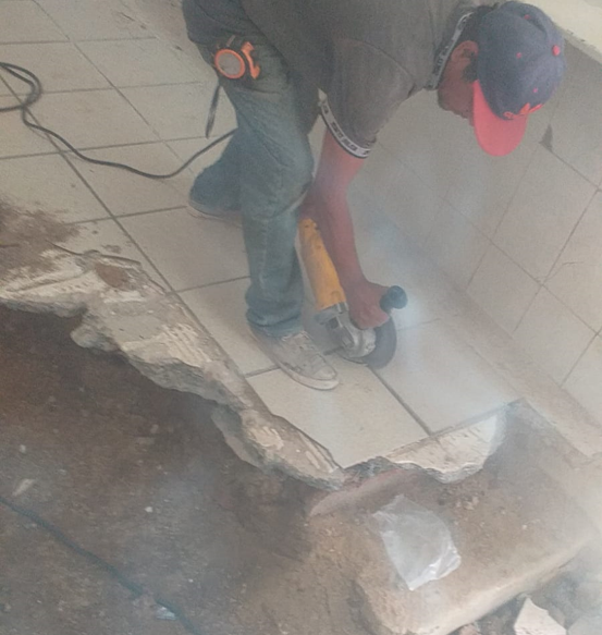 Imagen del proyecto