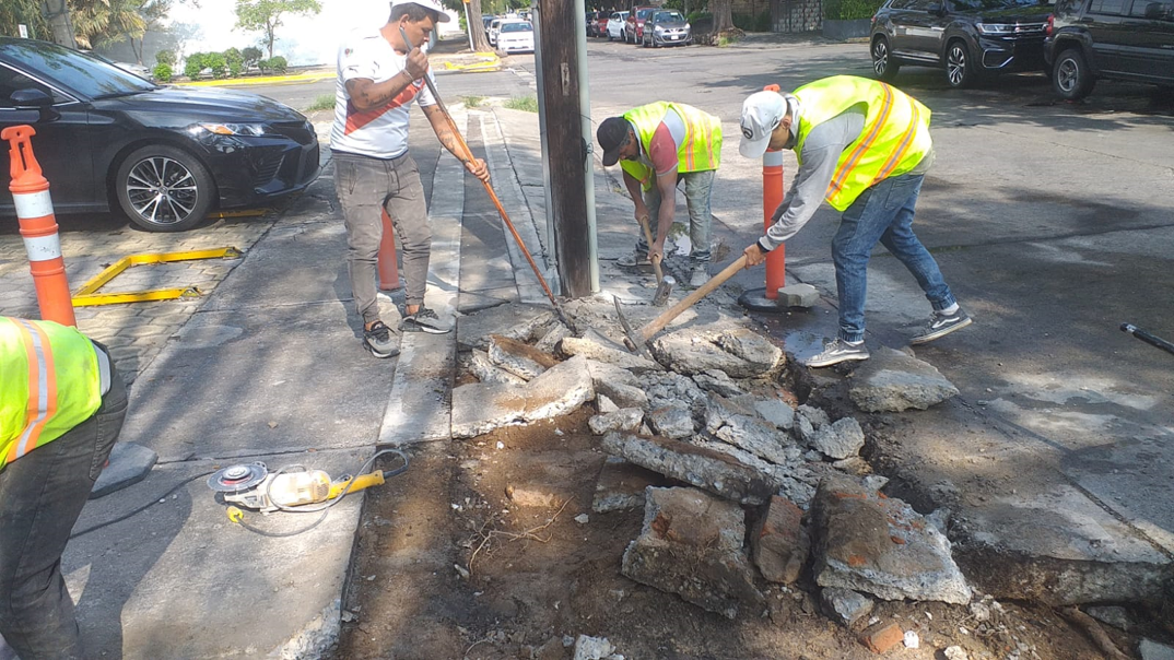 Imagen del proyecto