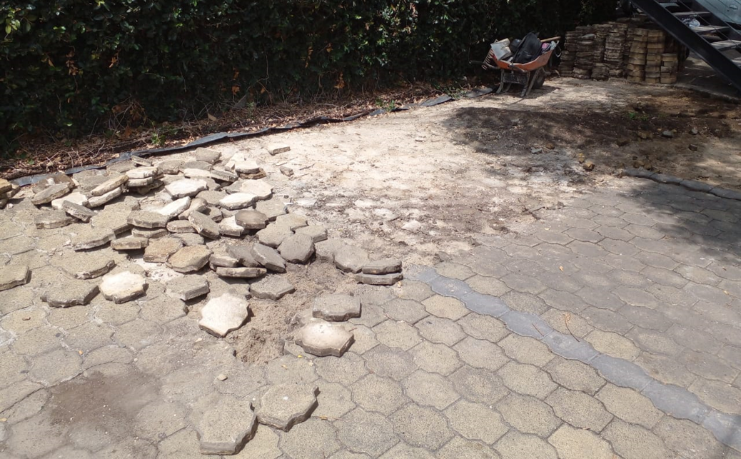 Imagen del proyecto