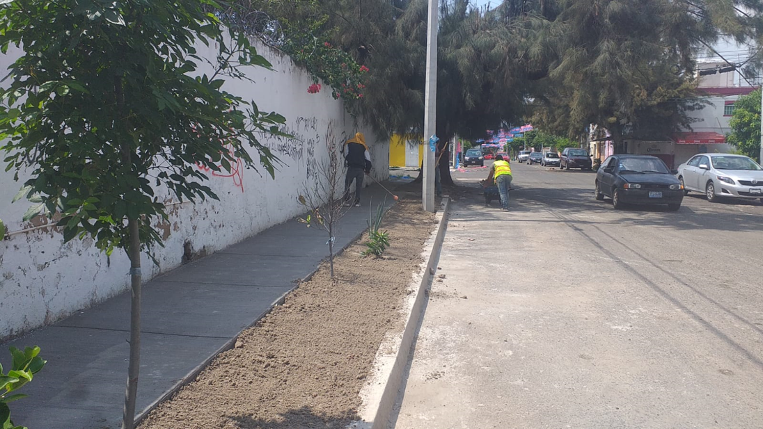 Imagen del proyecto