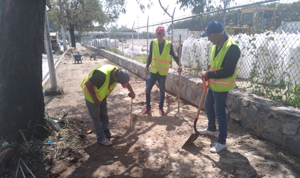 Imagen del proyecto