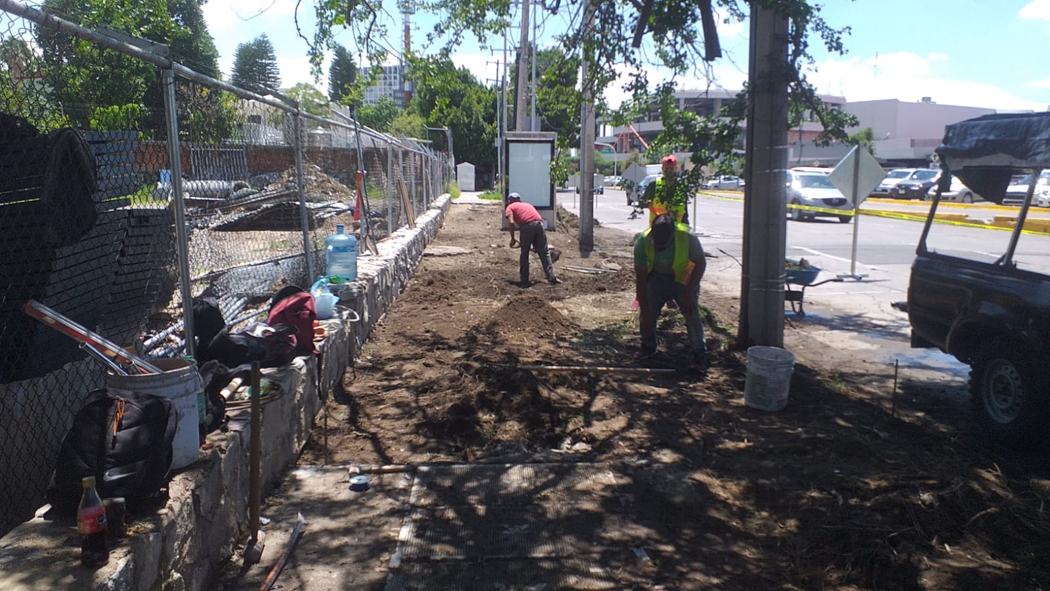 Imagen del proyecto