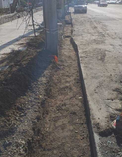 Imagen del proyecto