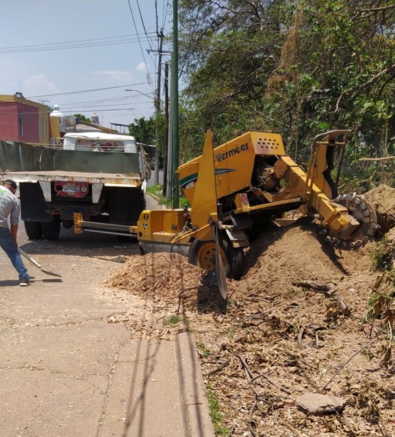 Imagen del proyecto