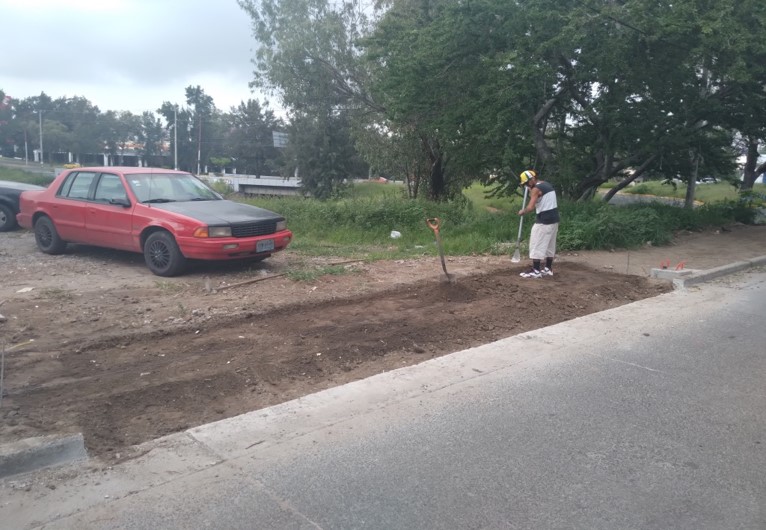 Imagen del proyecto