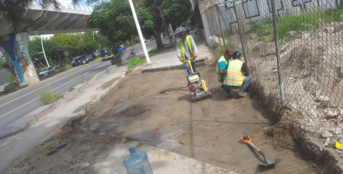 Imagen del proyecto