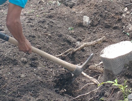 Imagen del proyecto