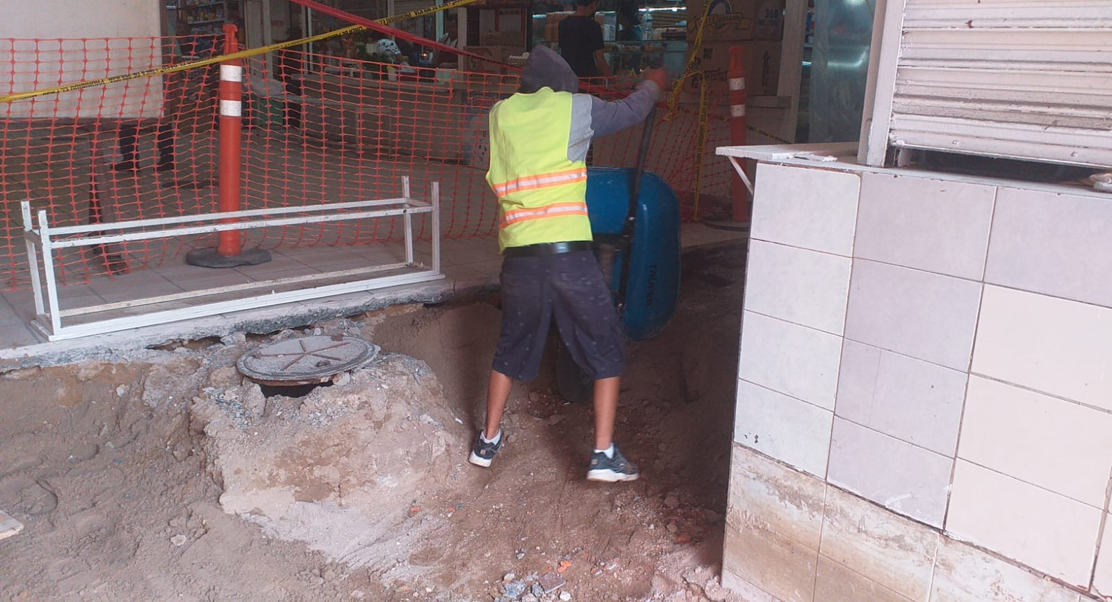 Imagen del proyecto