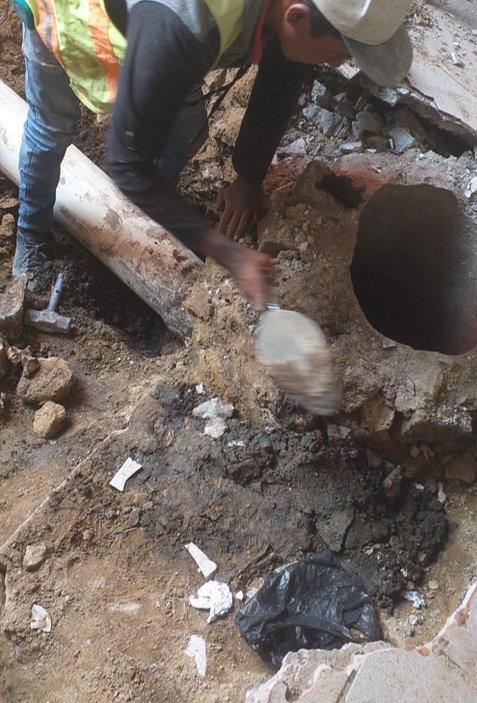 Imagen del proyecto