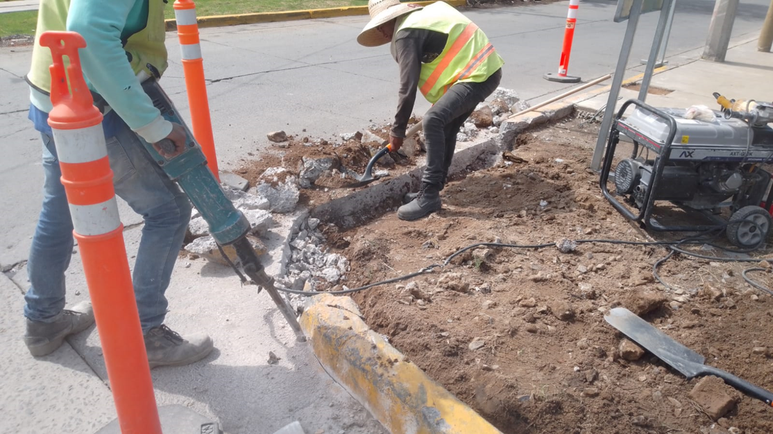 Imagen del proyecto