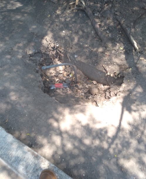 Imagen del proyecto