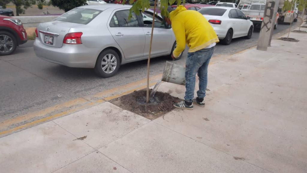 Imagen del proyecto