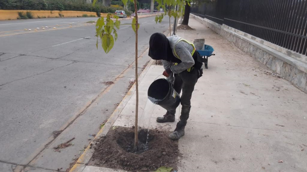 Imagen del proyecto