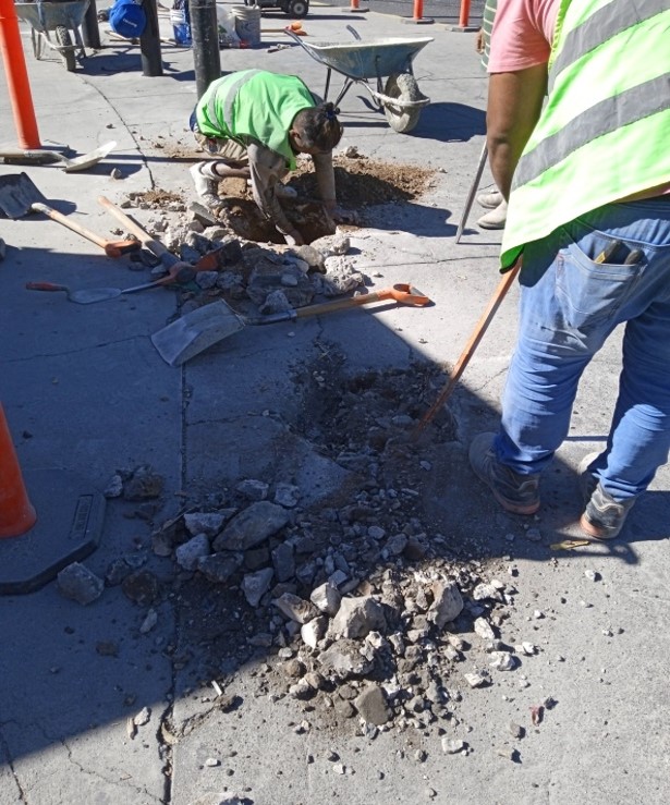 Imagen del proyecto