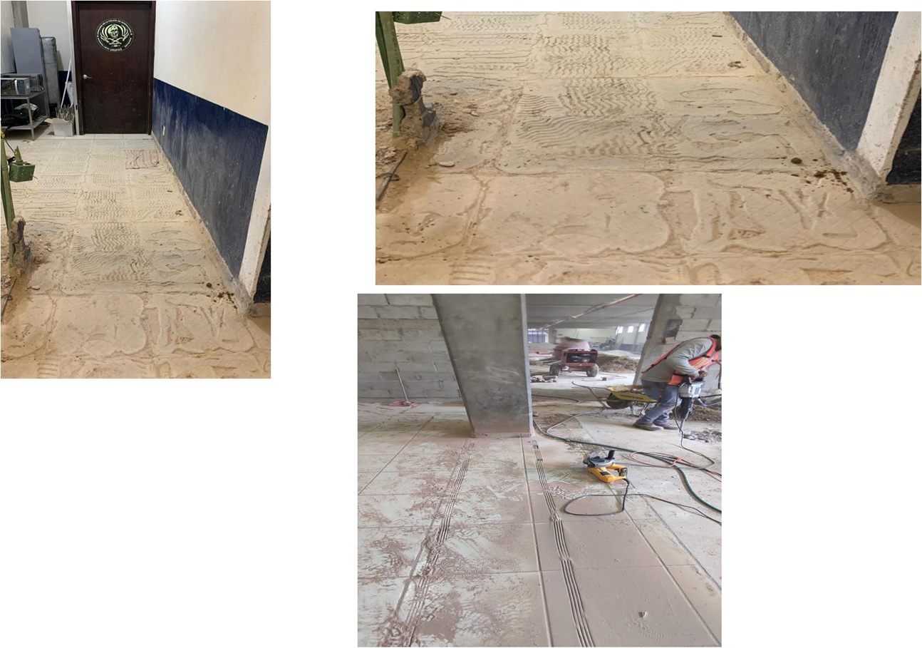 Imagen del proyecto