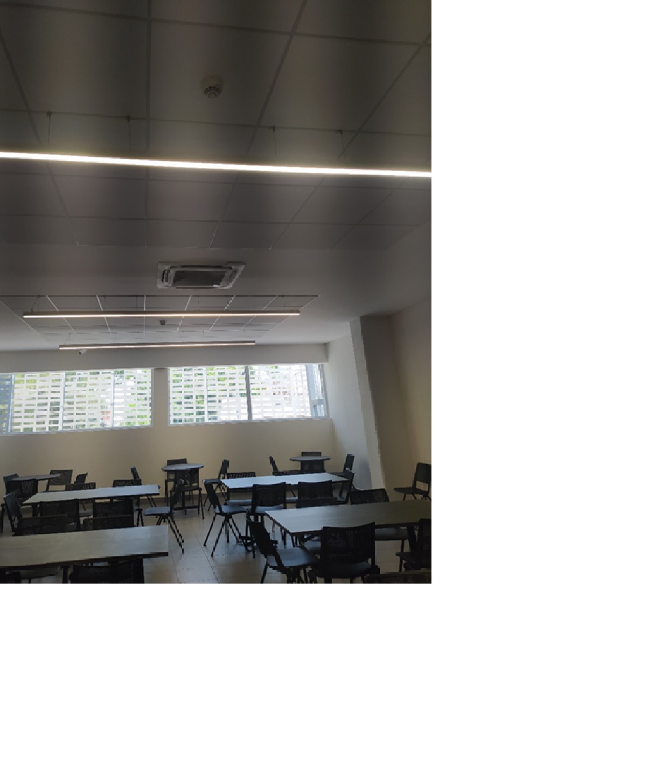Imagen del proyecto