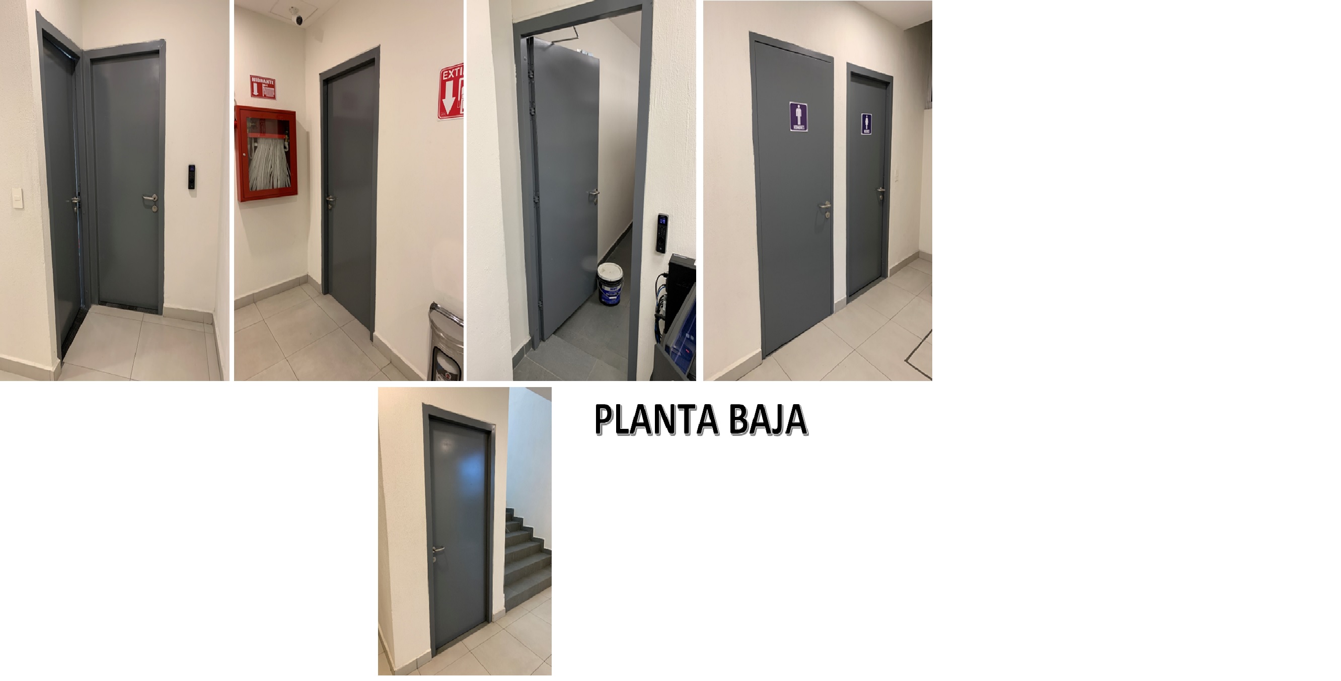 Imagen del proyecto