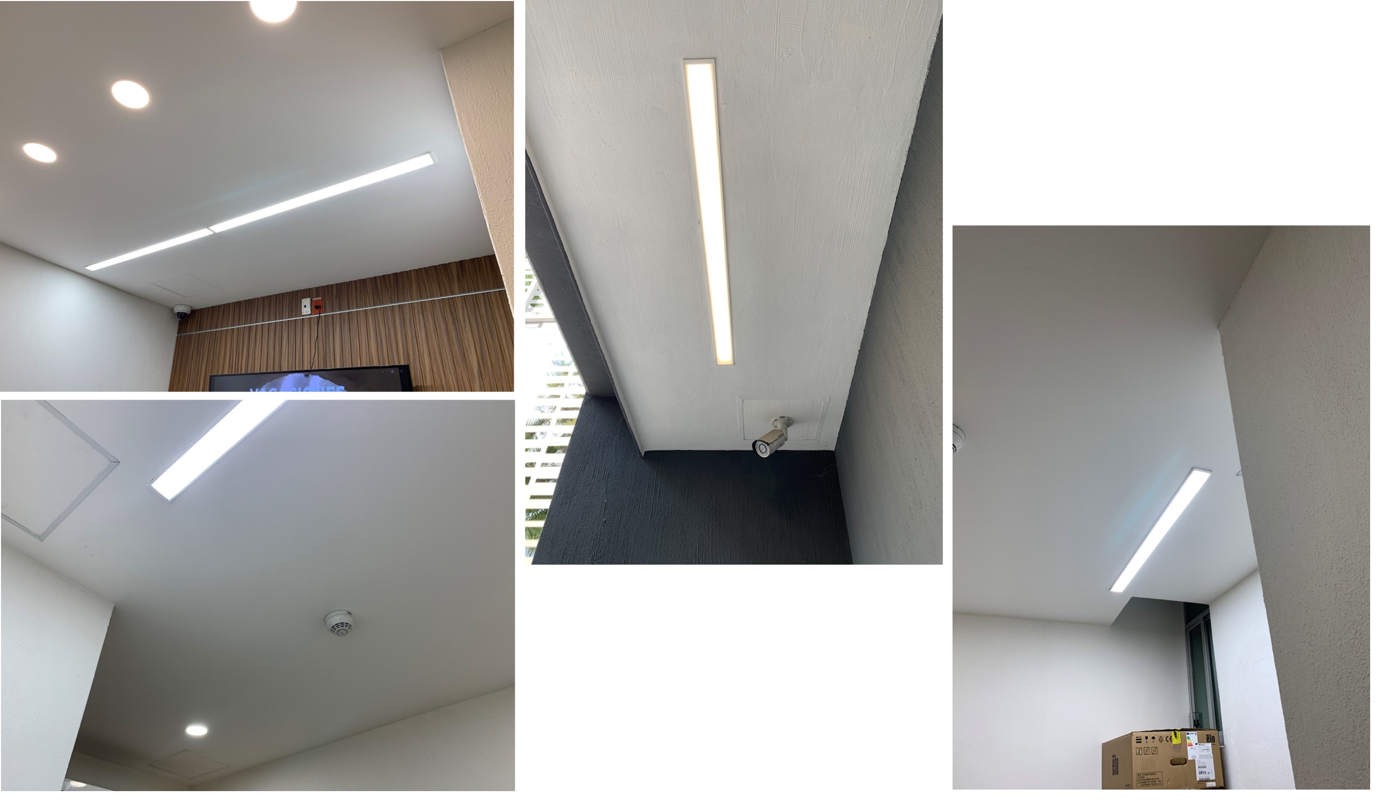 Imagen del proyecto