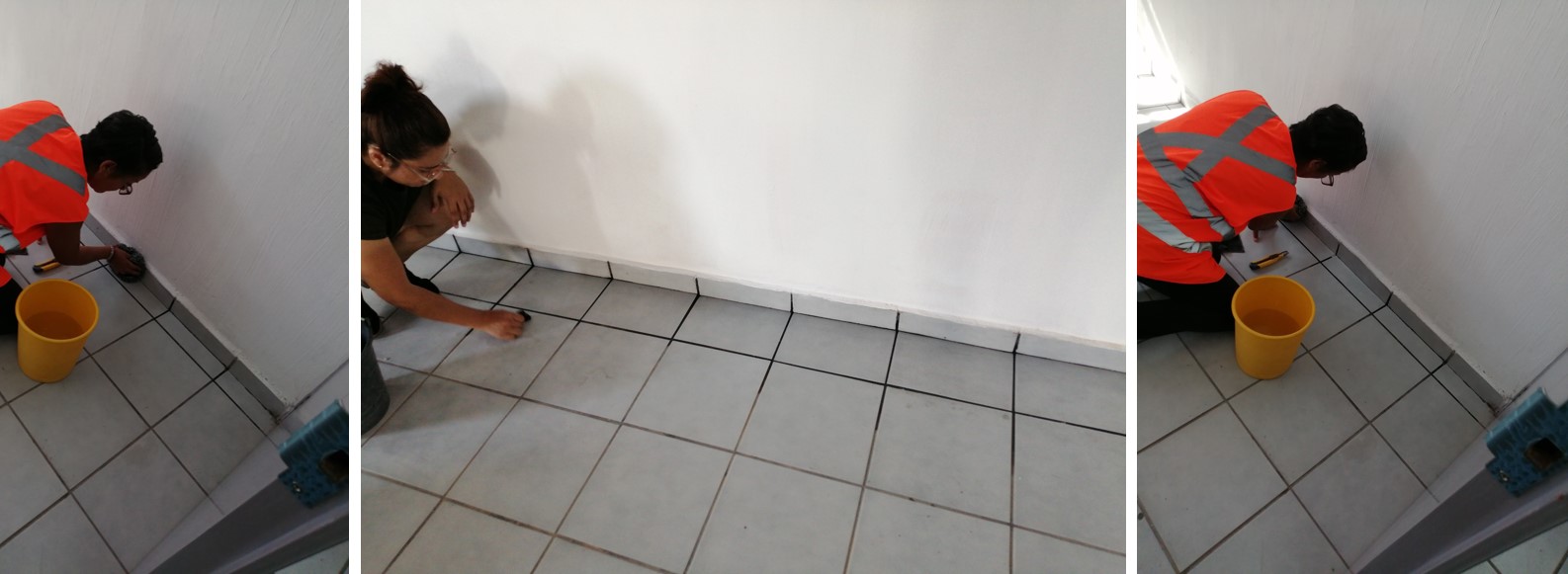 Imagen del proyecto