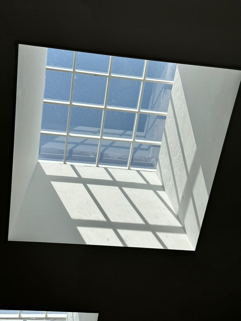 Imagen del proyecto