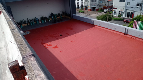 Imagen del proyecto