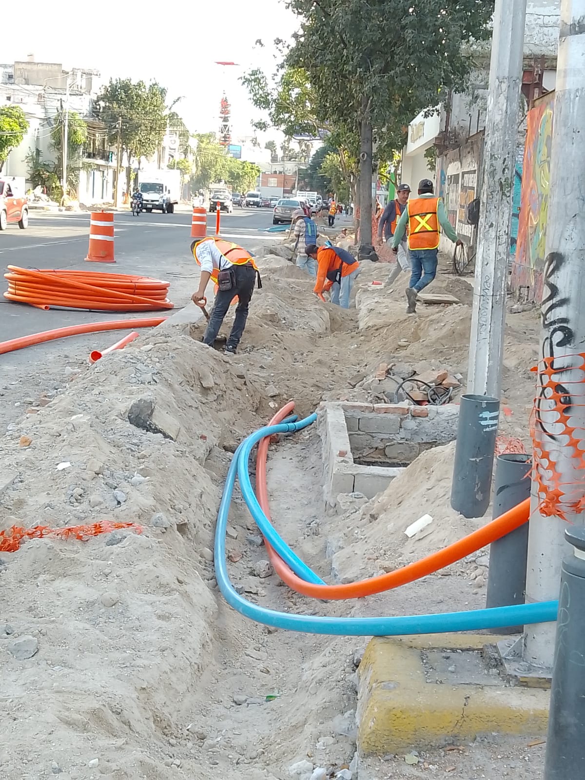 Imagen del proyecto