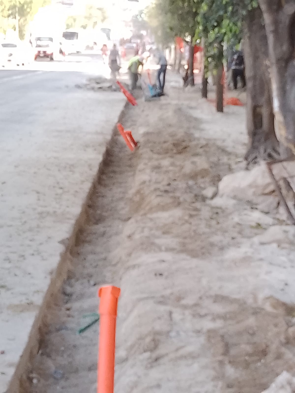 Imagen del proyecto
