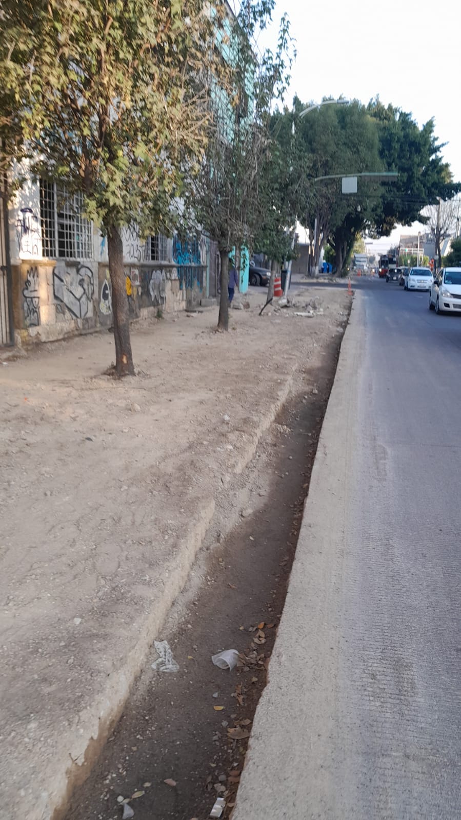 Imagen del proyecto