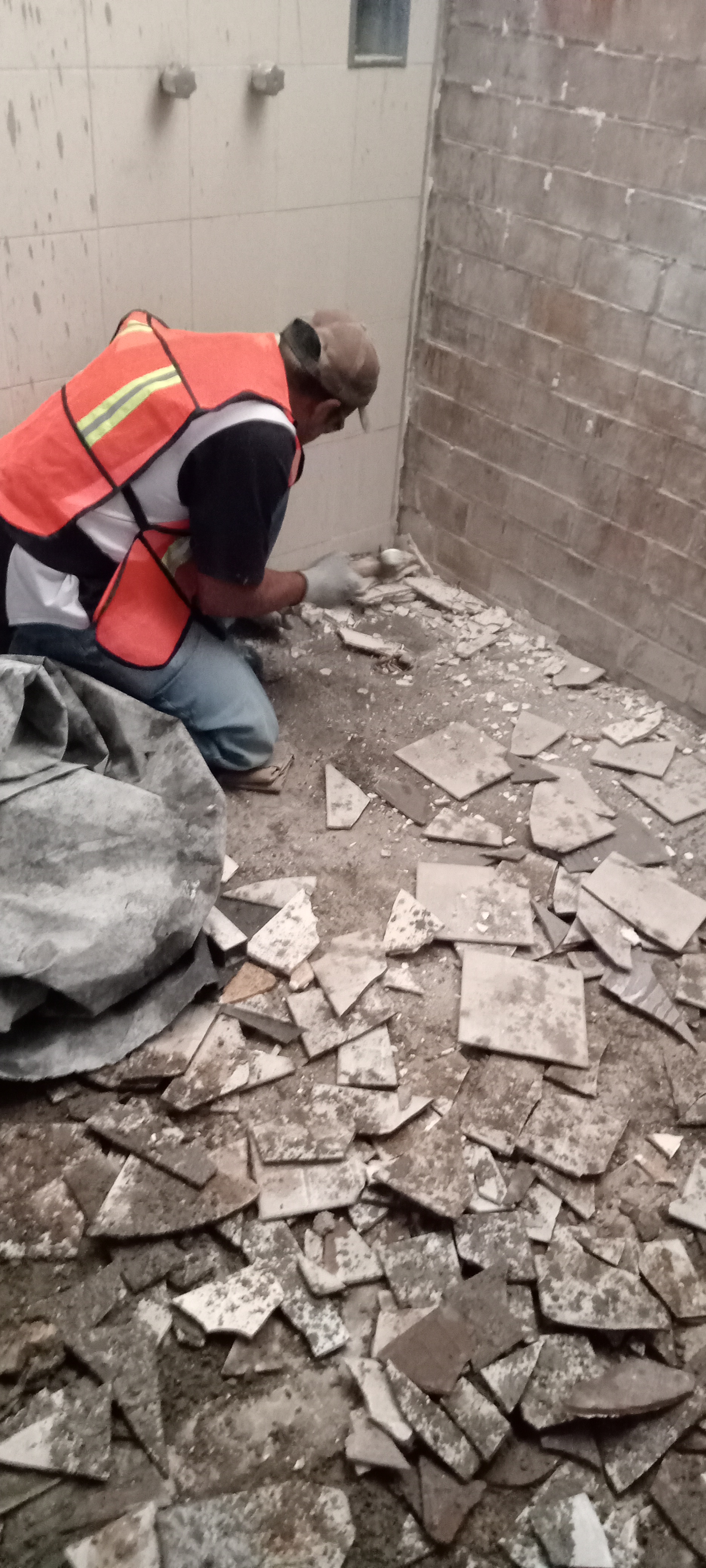 Imagen del proyecto