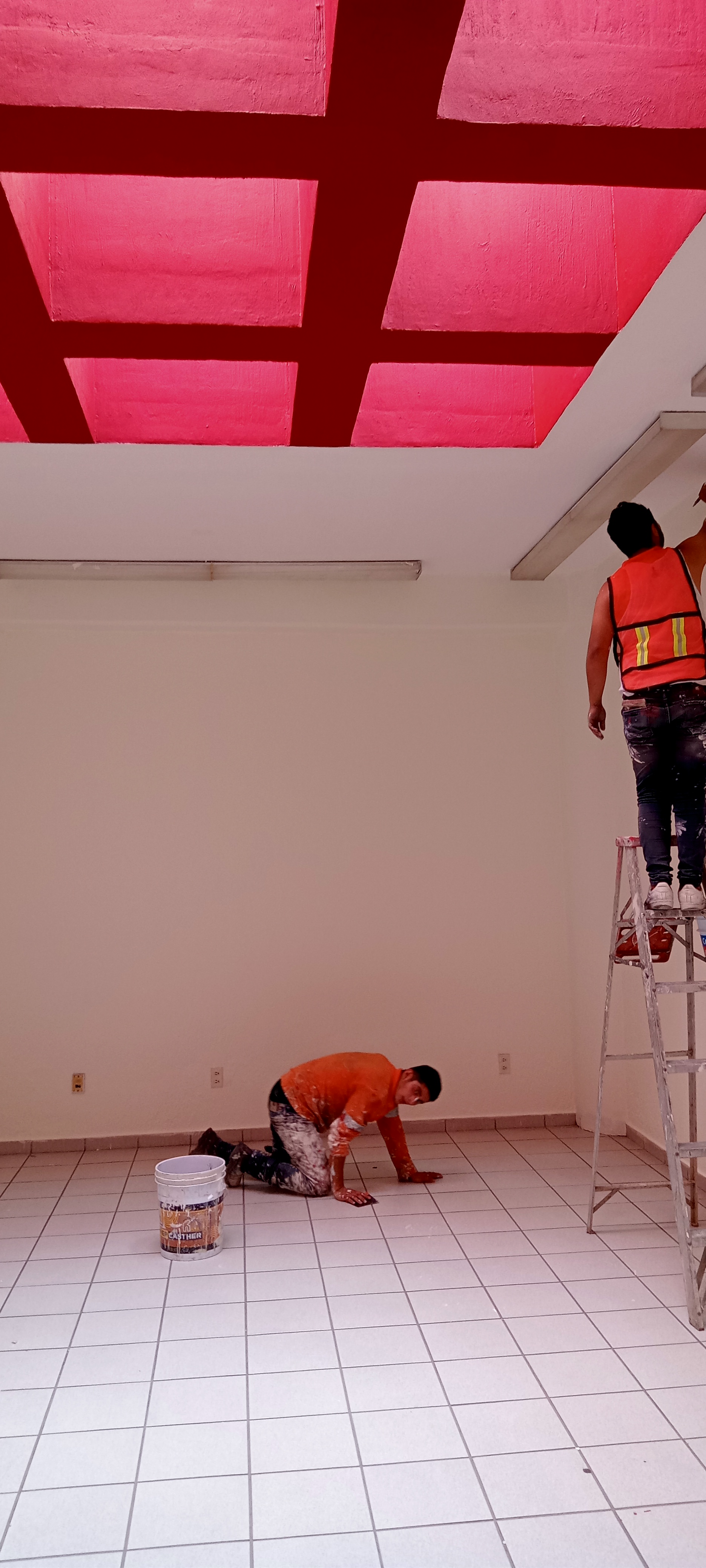 Imagen del proyecto