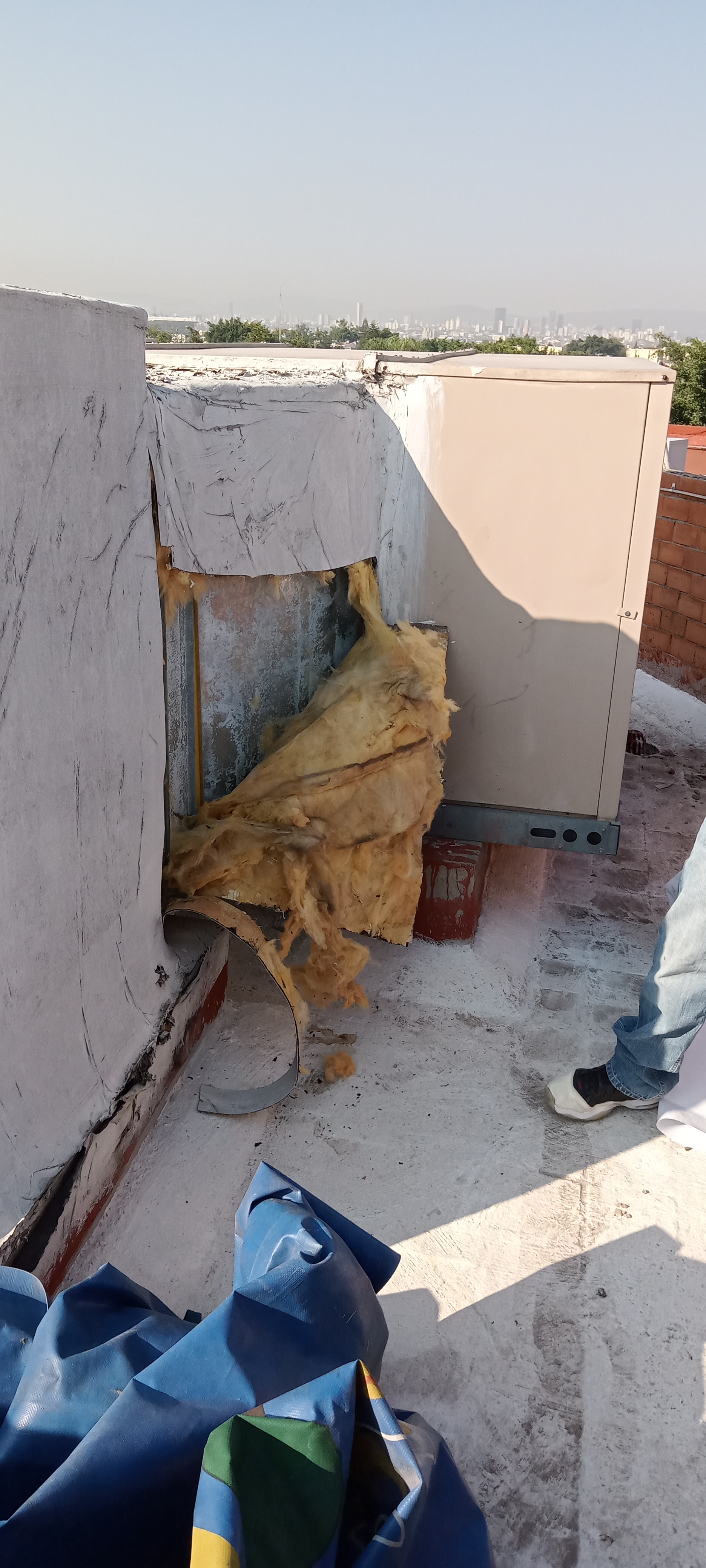 Imagen del proyecto