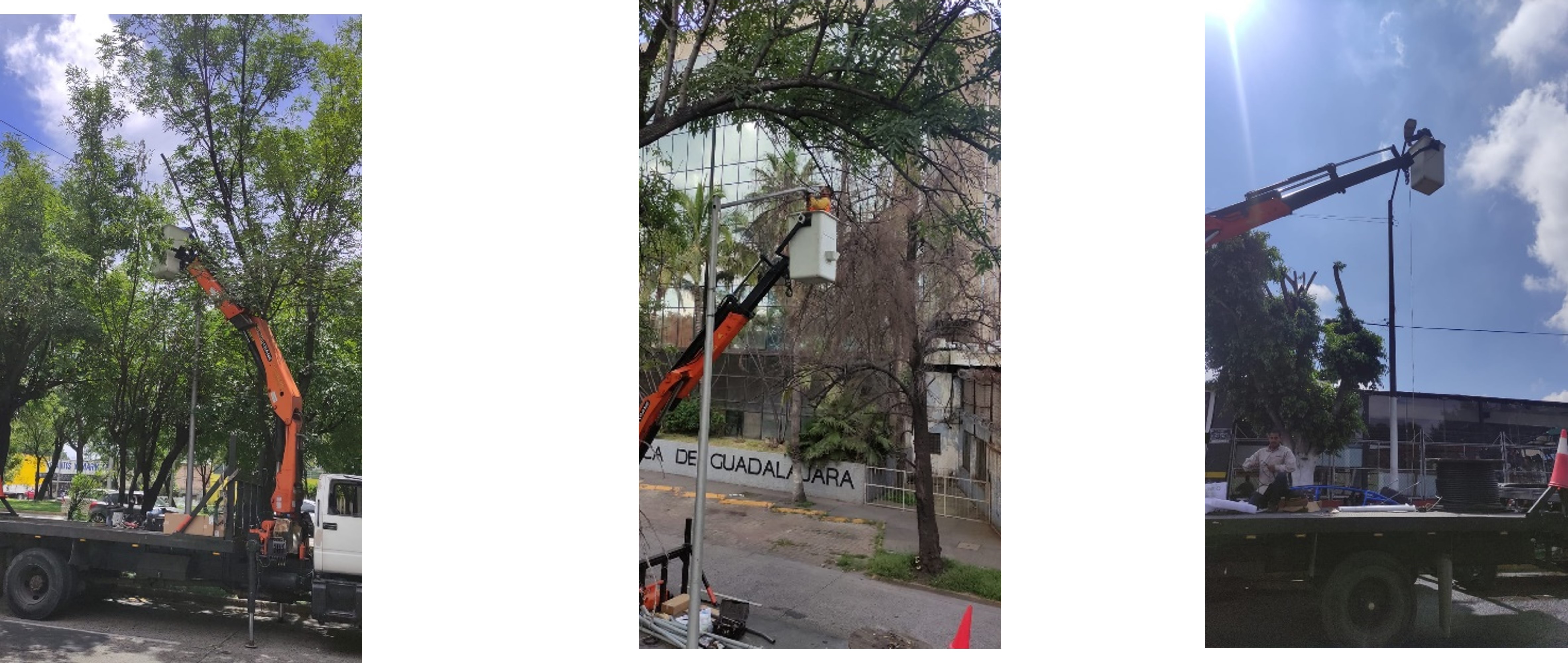 Imagen del proyecto