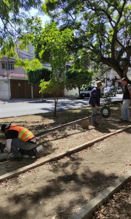 Imagen del proyecto