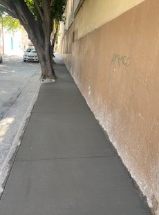Imagen del proyecto