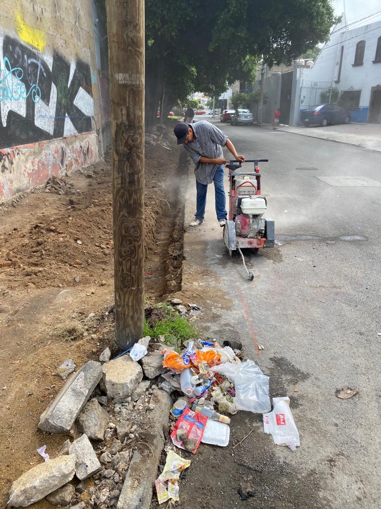 Imagen del proyecto