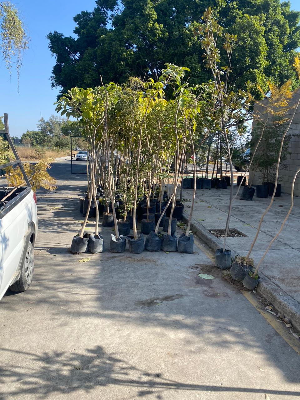 Imagen del proyecto