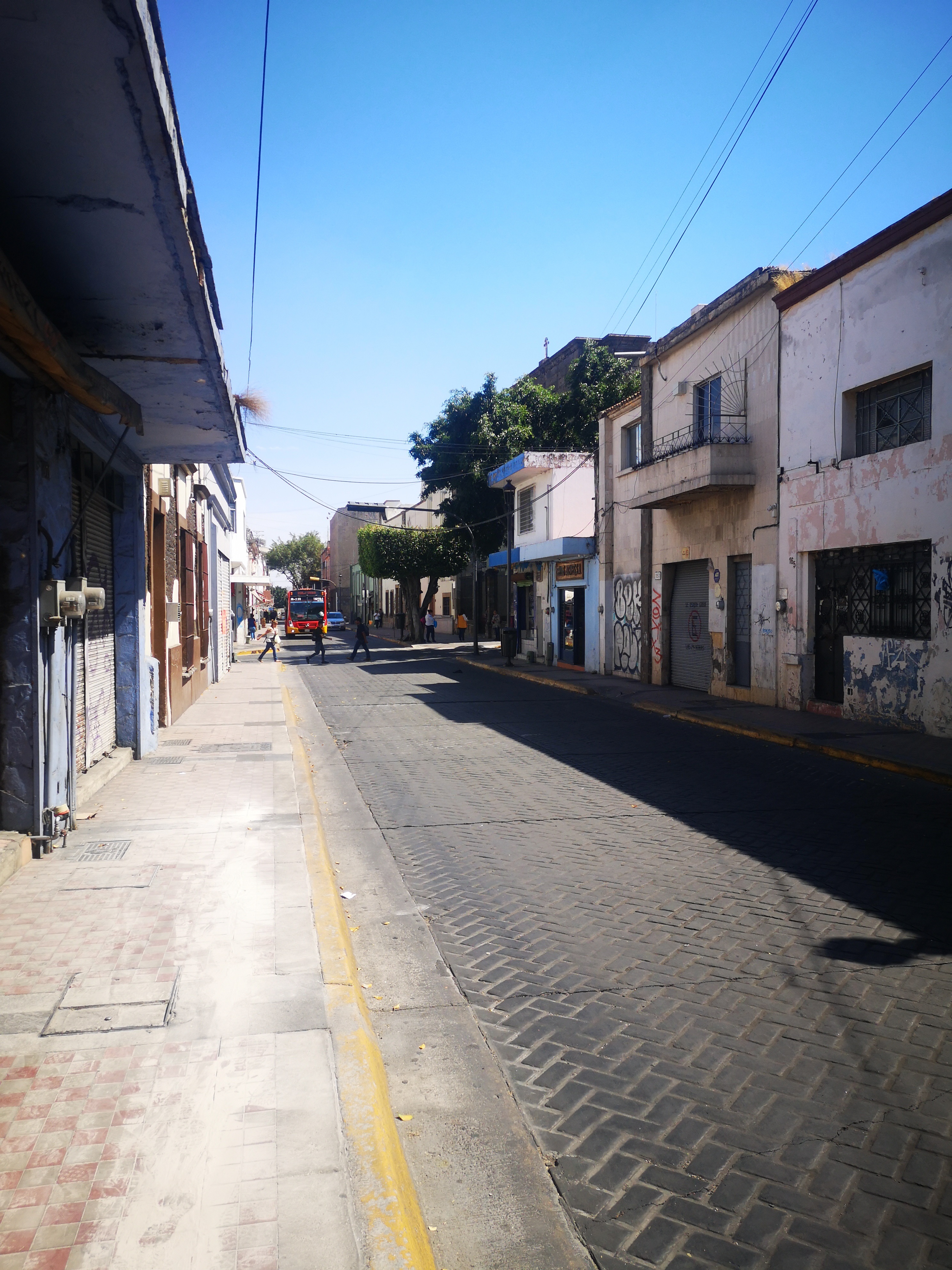 Imagen del proyecto