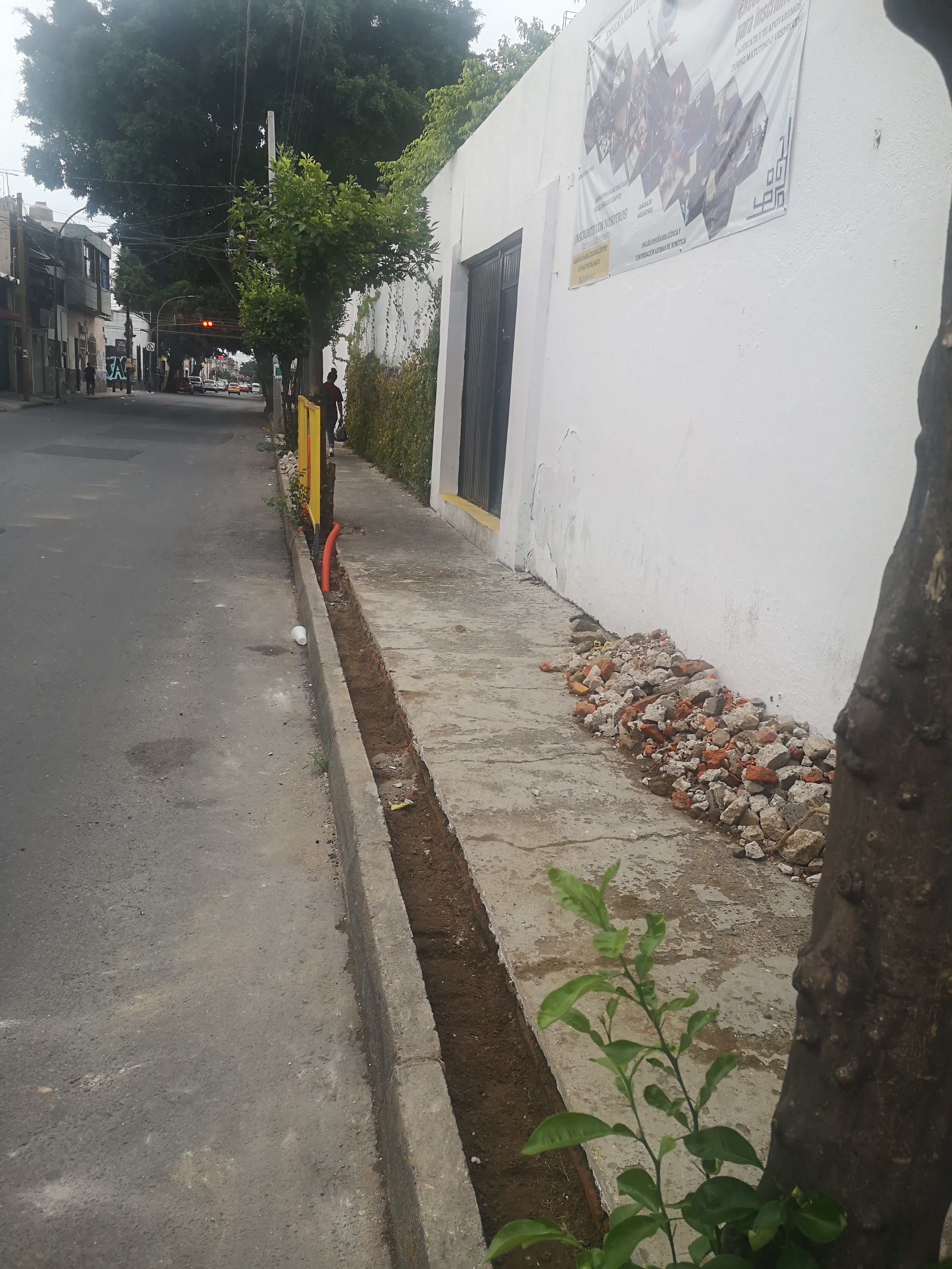 Imagen del proyecto