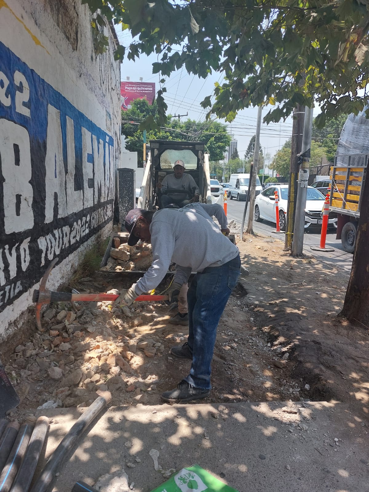 Imagen del proyecto
