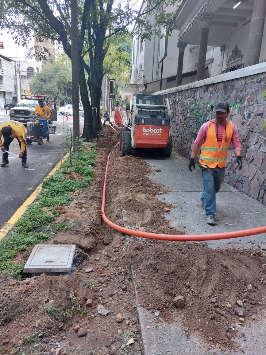 Imagen del proyecto
