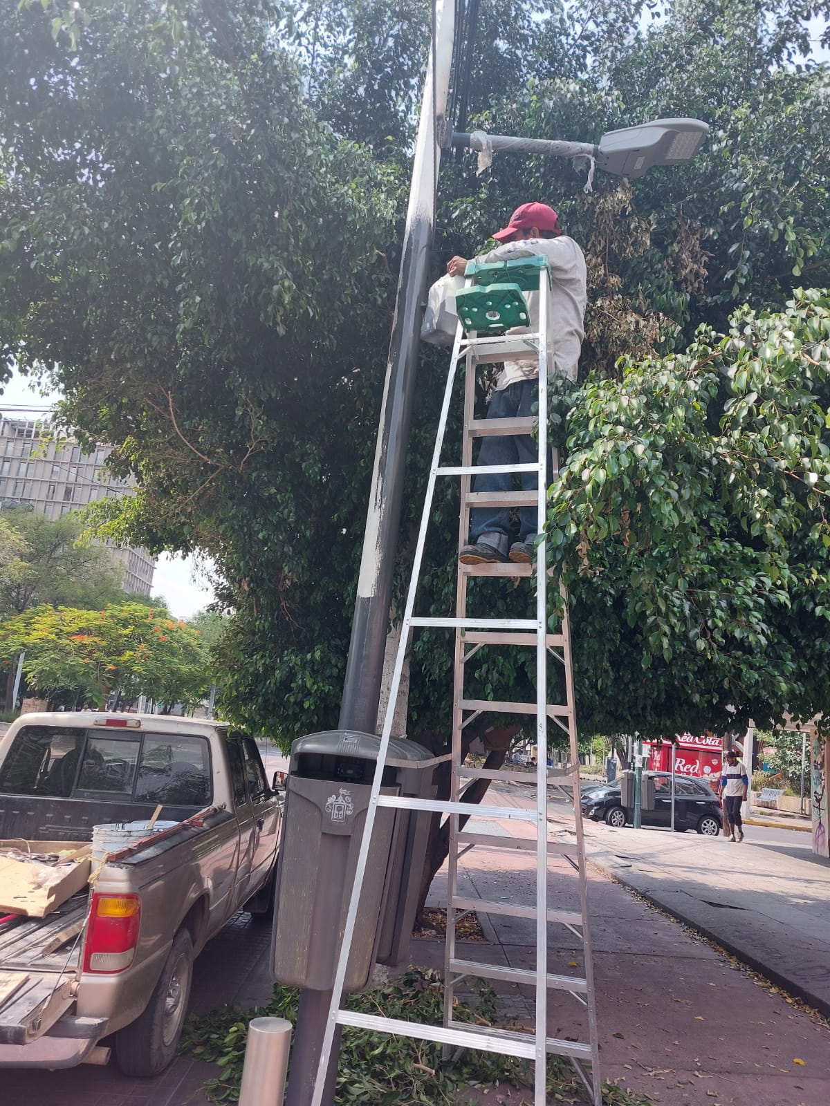 Imagen del proyecto