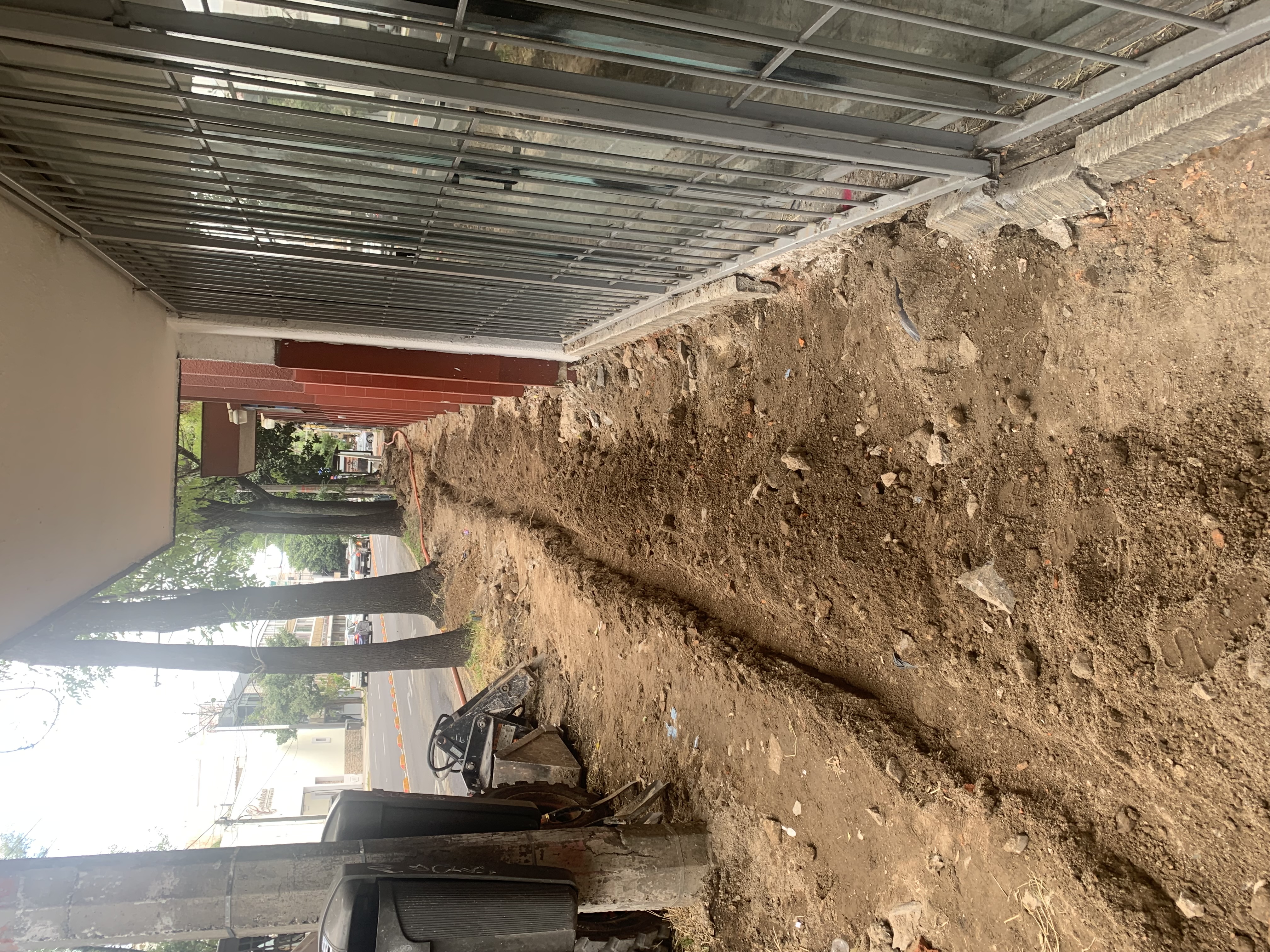 Imagen del proyecto
