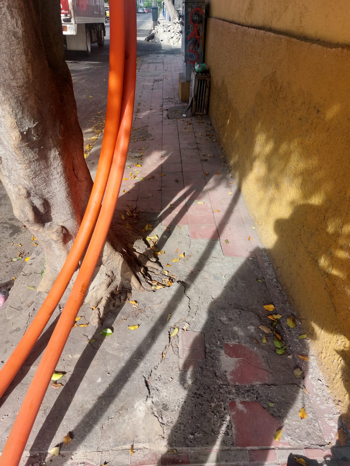 Imagen del proyecto