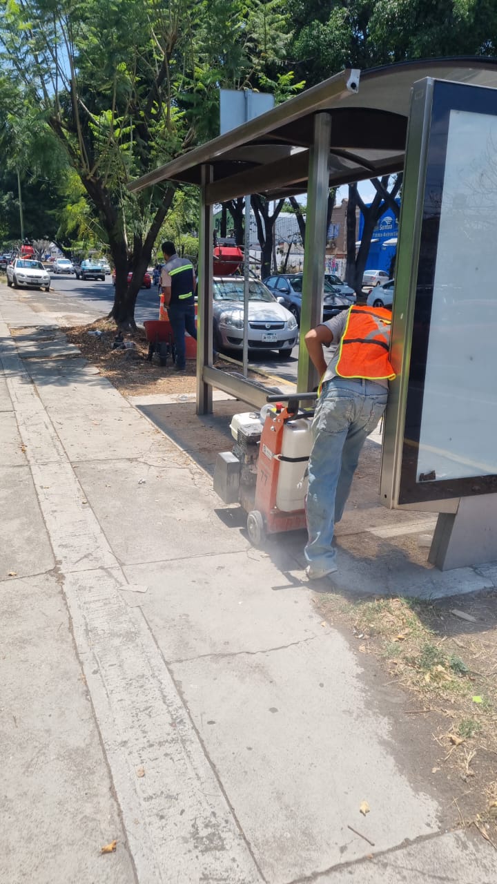 Imagen del proyecto