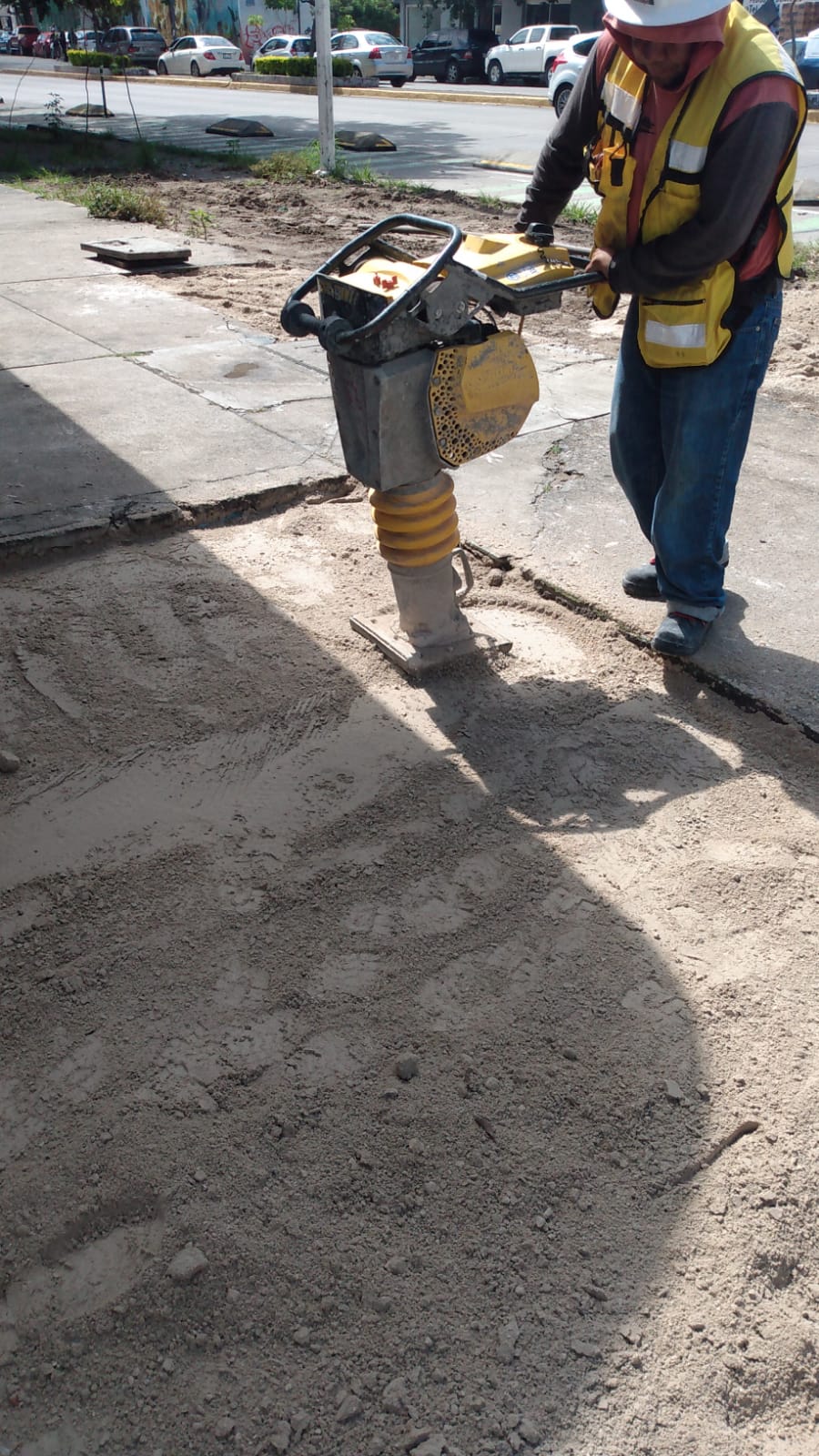 Imagen del proyecto
