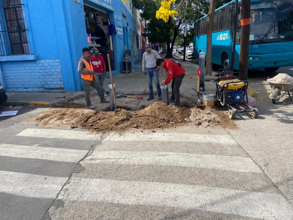 Imagen del proyecto