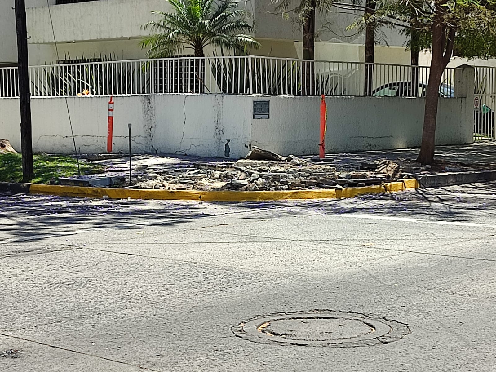 Imagen del proyecto