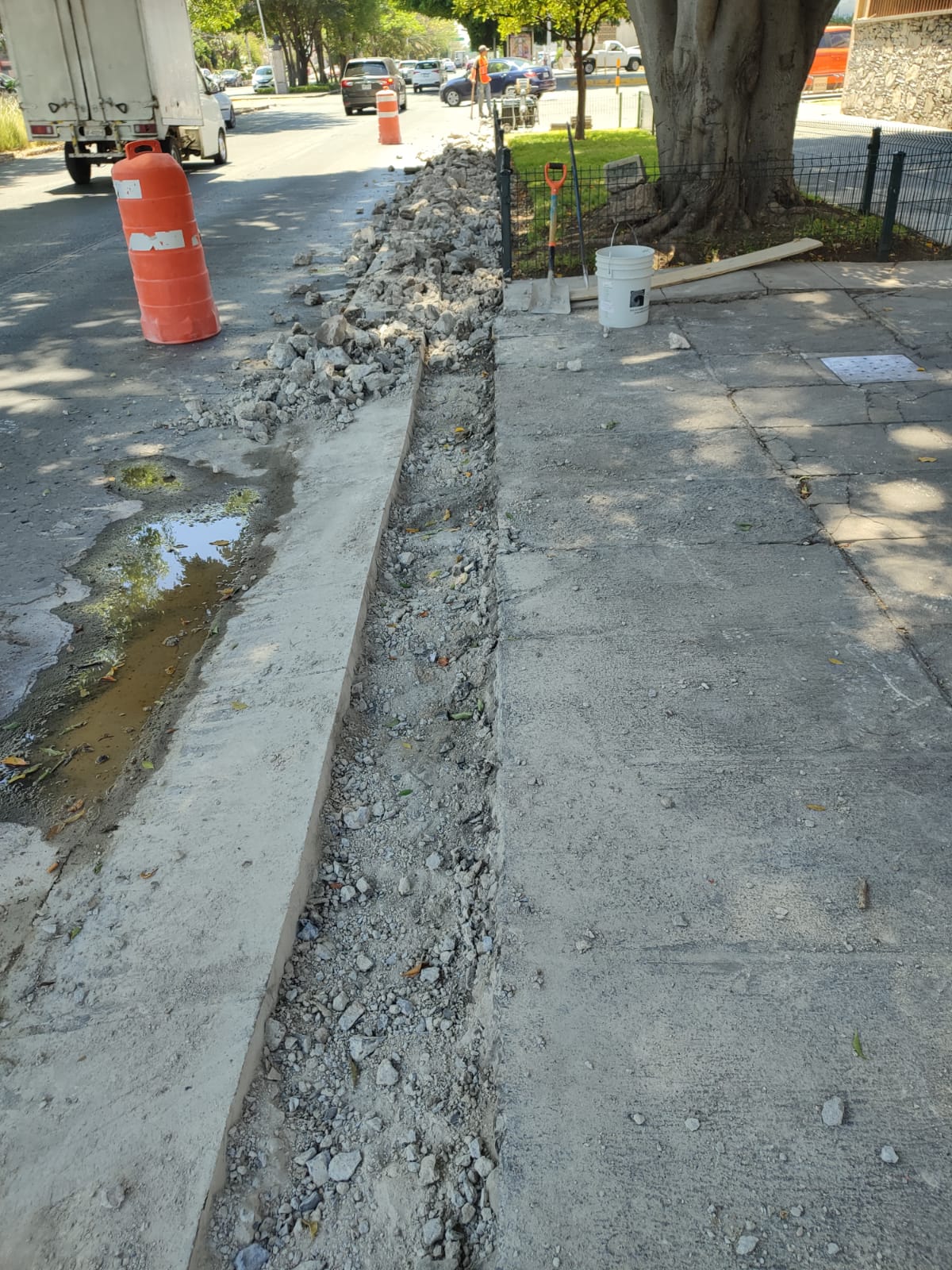 Imagen del proyecto